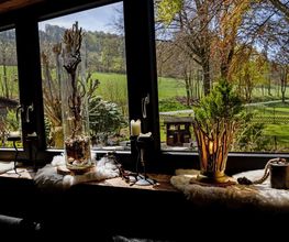 Die Sperre | Landhotel & Restaurant Bild 9