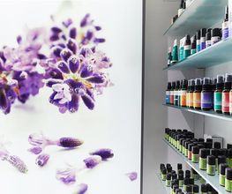 Apotheke zum Löwen Bild 9