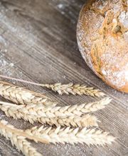 Bäckerei Konditorei Sterchi Länggasse-Brückfeld Bild 2