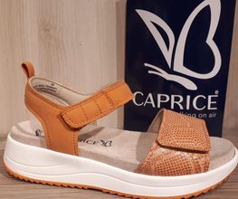 Chaussures Buck image 19