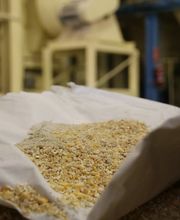 Pienso ecológico Bifeedoo imagen 3