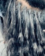 Make Me Beauty image 1