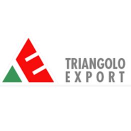 Triangolo Export logo