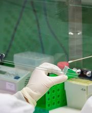 LDM Laboratorio di Diagnostica Molecolare Bild 2