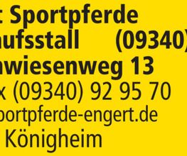 Sportpferde Engert Bild 1