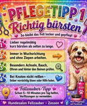Fellzauber Bild 7