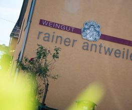 Weingut Antweiler Bild 6
