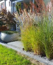 Burkis Gartenpflege AG Bild 2