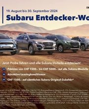 Andermatt AG, Sihlsee-Garage Bild 4