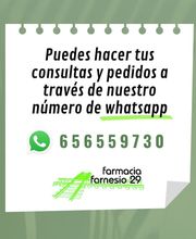 509828-2-ghtnz61Xp41668019231116.jpeg