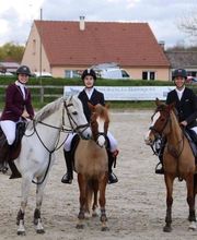 Les Ecuries Du Plessis Picard image 3