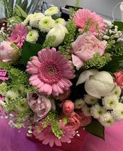 Morisset Sylvie image 10