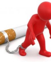 Dubreuil Nicolas image 3