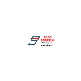 Termoidraulica Aldo Soresini logo