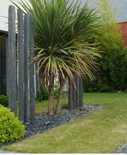 PESTEL PAYSAGE EURL image 7