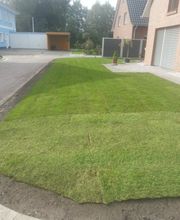 Garten & Landschaftsbau Balta und Sohn Bild 2