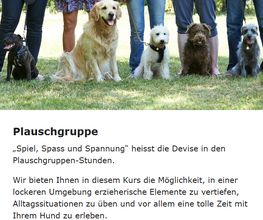 Sundogs Hundeschule Bild 1