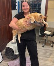 Country Hills Veterinary Hospital: Greene Mark DVM image 12