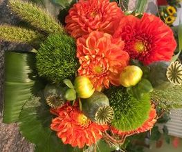 Blumen Fröschel Bild 1