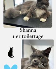 Salon de Toilettage Jenny Dog et Company image 14