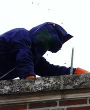 Anti Nuisibles Services SARL image 3