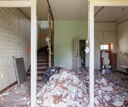 Traitements De L Ouest image 10