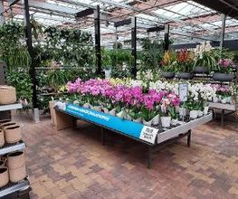 Intratuin Nijkerk afbeelding 7