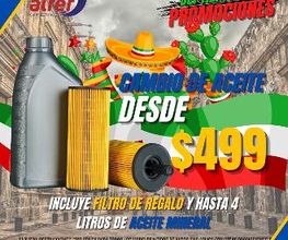 Michelin Car Service- Alfer Car Service imagen 8