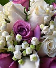 823471-ramo-n-3.jpg