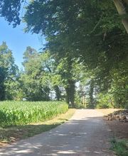 FriedWald Starzach Bild 4