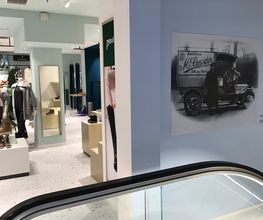 M. Schneider Offenbach GmbH & Co. KG Bild 1