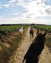 Domaine Chauveau image 5