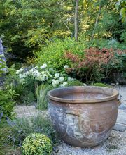 Jardins Intemporels image 7