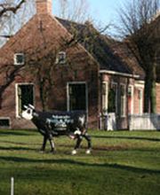 Pedicuresalon Nails & Feet