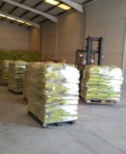 Guanafrik España, S.L imagen 7