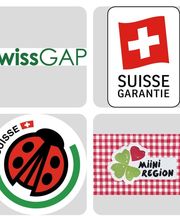 Stalder Schweizerfrüchte AG Bild 5