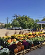 Tractor Supply Co. image 1