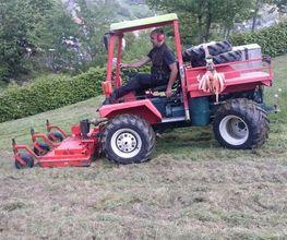 Daniels Baum- & Gartenservice Bild 16