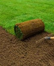 Klaus Frohberg Garten- und Landschaftsbau Bild 1