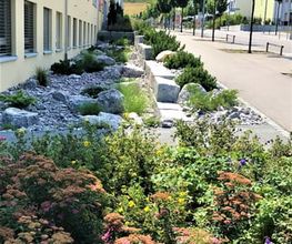 Arifi Gartenbau GmbH Bild 2