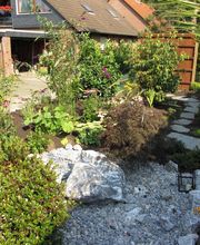 Der Grüne Baum Bild 3