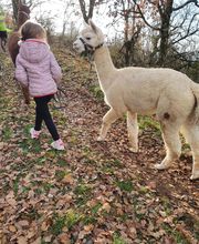 Les Psytrucs de Shana image 2