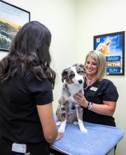 Animal Care Hospital of Morris Inc image 17