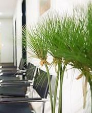 Augen Zentrum Fankhauser AG Bild 2