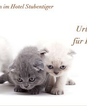 Hotel Stubentiger Bild 1