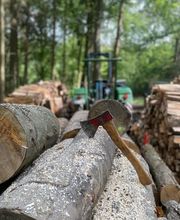 Baumdienst Herrmann Bild 10