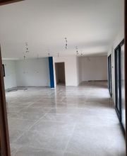 HB Peinture37 image 4