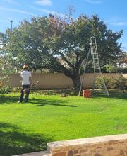 Daniel Moquet signe vos jardins - Ent. Babad image 18