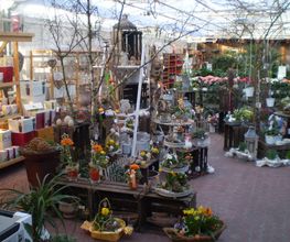 Geschenkartikelfloristik