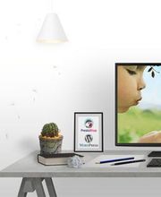 Agence Web Isalis image 3